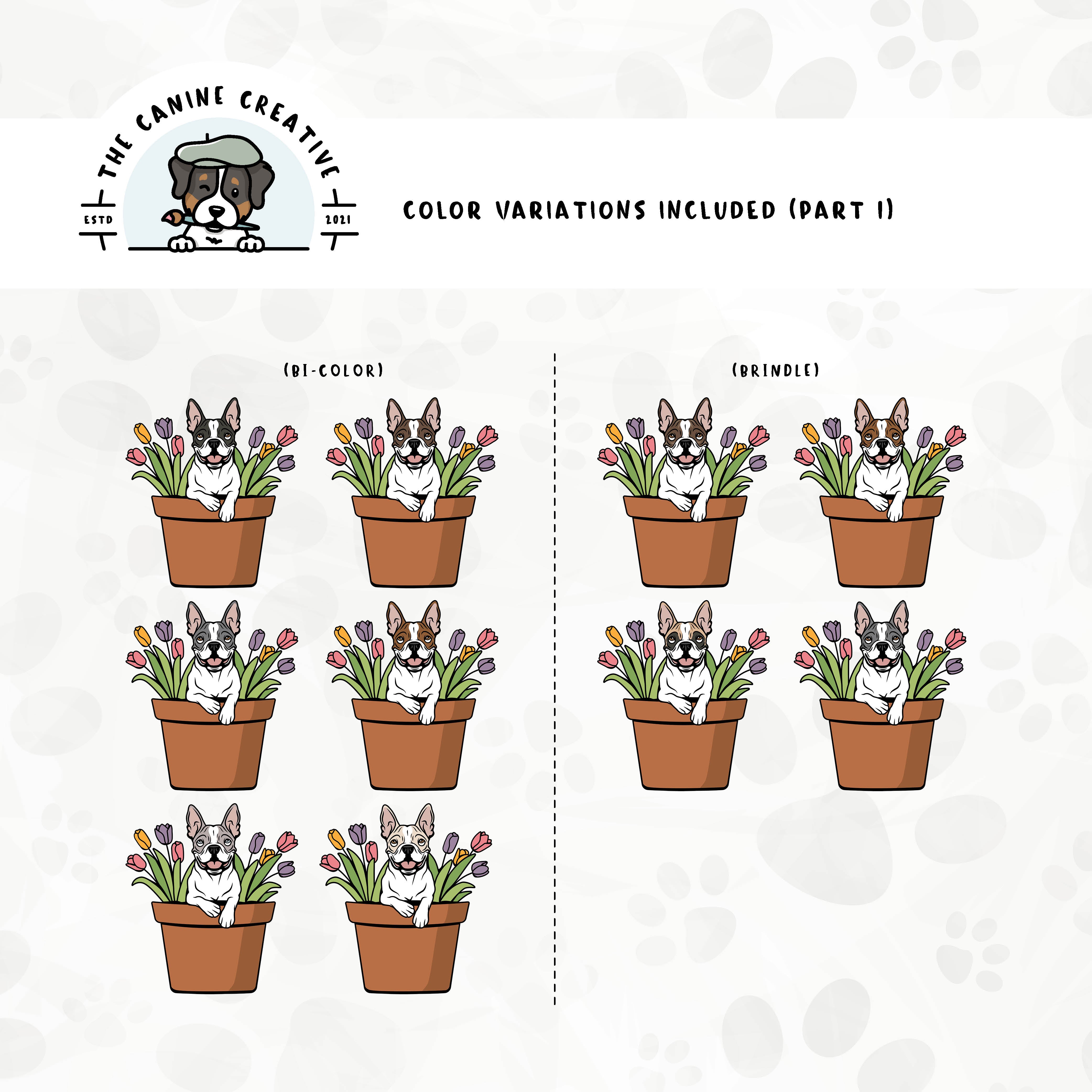 Part 1 of dog color variations for this Boston design set includes multiple bi-color options in standard and splash markings.